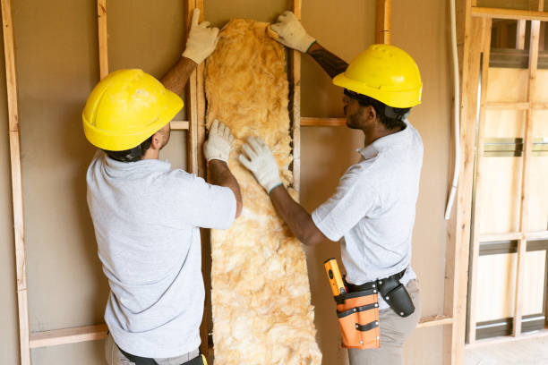 Best Wall Insulation Installation in Downey, CA