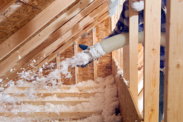 Best Blown-In Insulation in Downey, CA