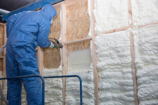 Best Basement Insulation in Downey, CA